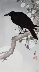 Ein schwarzer Vogel auf einem Ast im Mondlicht